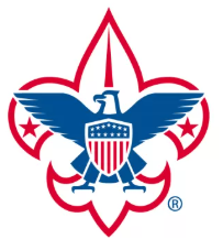BSA Logo